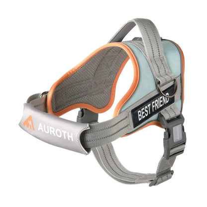 【#Summersale】No Pull Dog Harness Straps, Safety Harnesses for Dogs – Soft Padded Service Vest, Reflective, Adjustable, Easy on & off – Ideal for Walking & Training, Fits Small, Medium & Large Dogs
