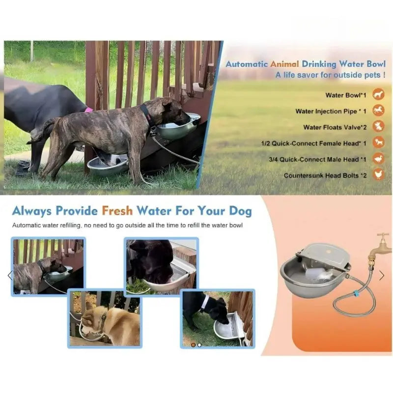 3L Stainless Steel Automatic Dog Water Dispenser with Fountain Flow, Drain Plug, and Hose for Convenient Refilling